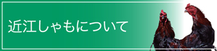 近江しゃもについて